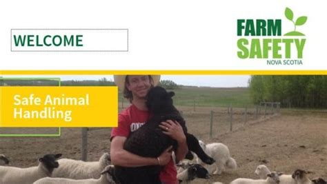 Animal Handling Farm Safety Nova Scotia Safe Farming Safe Families