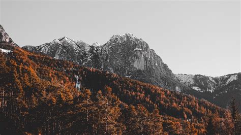 Download Wallpaper 1366x768 Mountain Peak Trees Snow Landscape