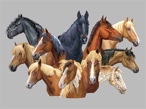 Most Popular Horse Breeds In The World Personalities Behaviors And