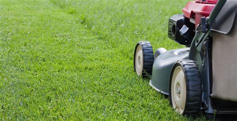 For the organic and conventional home turf experts. Fall Overseeding for Wonderful Winter Lawns - Lambton Property Maintenance