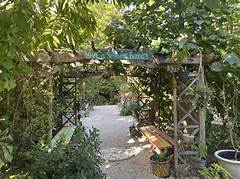 A Sanctuary Of Love Carolina Funeral Home Scrantons Journey Of Farewell