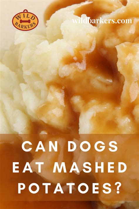 Garlic mashed potatoes are my favorite side dishes to make for the holidays. Can Dogs Eat Mashed Potatoes? Healthy or Toxic? in 2020 ...