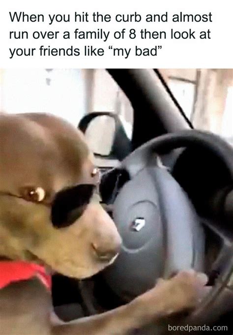 30 Hilariously Relatable Car Memes Every Driver Will Appreciate Demilked