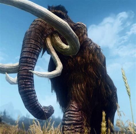 Mammoth With Images Skyrim Funny Skyrim Elder Scrolls