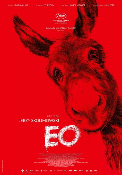 New Us Trailer For Mesmerizing Donkey Movie Eo From Jerzy Skolimowski