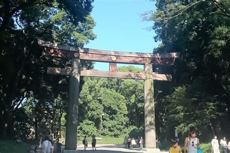 Tokyo Highlights High Rise Observatory Meiji Shrine Imperial Palace