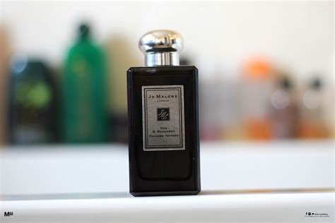 Best Mens Fragrances To Attract Women The Most Complimented Michael