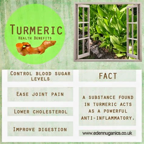 eden nuganics blog health benefits and uses of turmeric