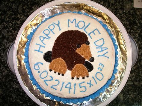 Mole Day Cake My First Cake From Class Ferretz Flickr