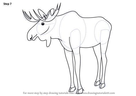 How To Draw A Moose Wild Animals Step By Step
