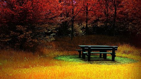 Autumn Resting Place Leaves Bench Table Fall Trees Colors Hd