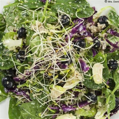 Recipe Corner Quinoa Spinach Blueberry Salad Mrs Dornberg S
