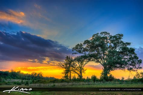 Virginia Landscape Beautiful Sunset With Tree Hdr Photography By