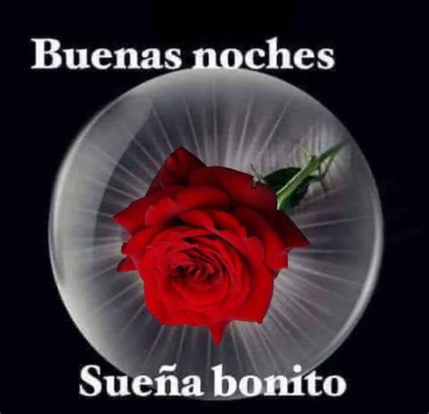 A Red Rose In A Glass Vase With The Words Buenas Noches