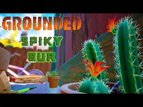 How To Get Spiky Bur Grounded Youtube