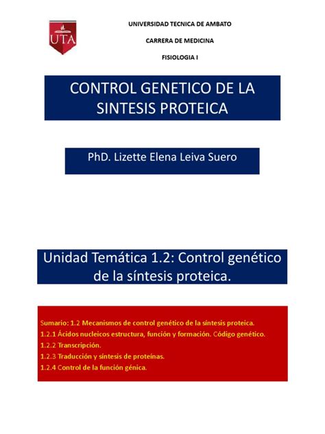 Control Genetico De La Sintesis Proteica Pdf Rna Adn