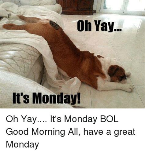Mondays Have A Great Monday Funny Animals Good Morning All
