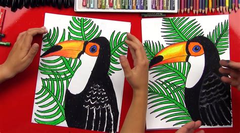 How To Draw A Realistic Toucan Art For Kids Hub Toucan Art Art