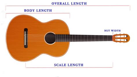 Classical Guitar Sizes A Buyers Guide Nylon Plucks