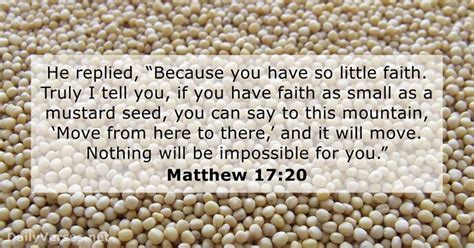 Matthew Bible Verse Of The Day Dailyverses Net
