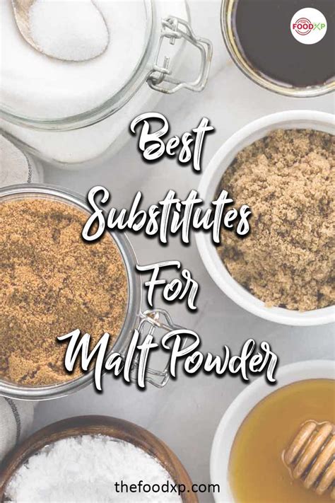 17 Best Malt Powder Substitutes That You Can Try Recipe In 2022