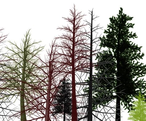 To make a quality tree brush set is a very hard job. Tree Brushes - Free Downloads and Add-ons for Photoshop