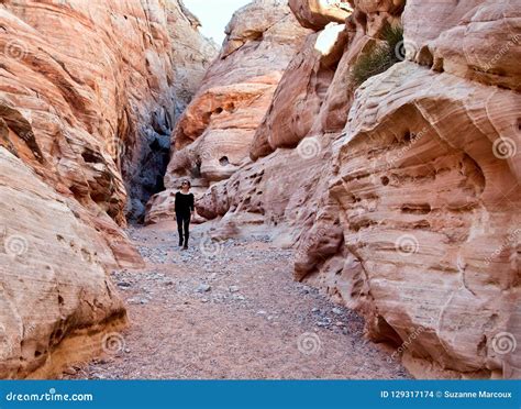 Slot Canyon In Valley Of Fire Nevada Usa Stock Photo Image Of