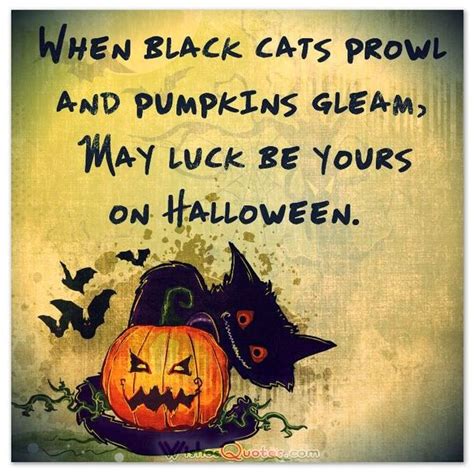 30 Spooktacular Halloween Quotes And Sayings With Images Happy