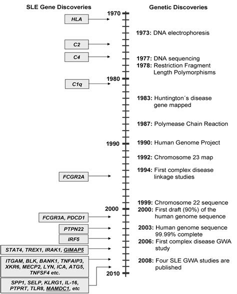 A Timeline Of Discoveries In Human Genetics Right And Genes