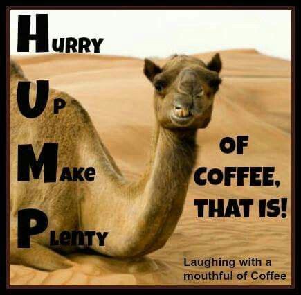 Hump Day With Images Hump Day Humor Wednesday Coffee Coffee Humor