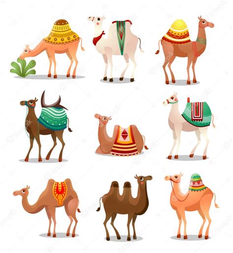 Premium Vector Camel Icons Set Illustration In Flat Cartoon Style