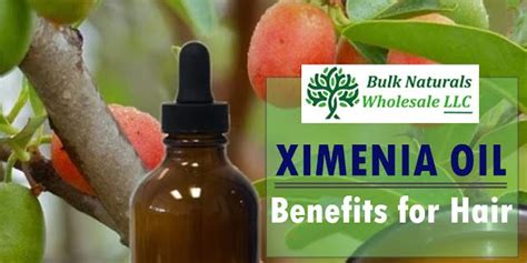 Ximenia Oil Benefits For Hair Majority Of People These Days Are Too