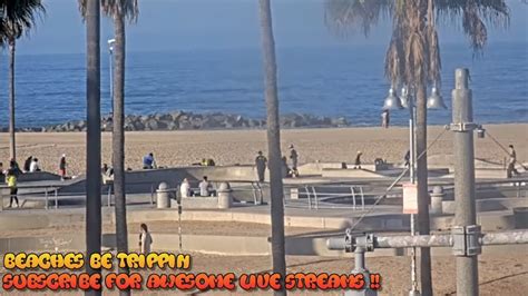 Venice Beach Santa Monica Live Webcam Venice Beach Live Cam Youtube