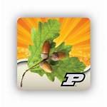 Doctor Purdue Suite Plant App Tree