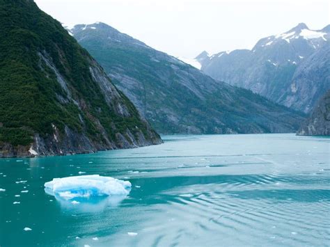 Tracy Arm Fjord Alaska 10 Best Things To Do