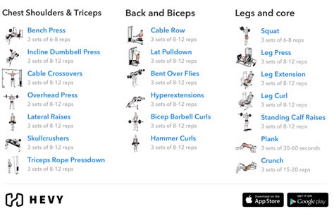 Daily Schedule For Gym Workout Kayaworkout Co