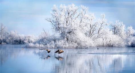 Winter Reflection Photograph By Judi Dressler Fine Art America
