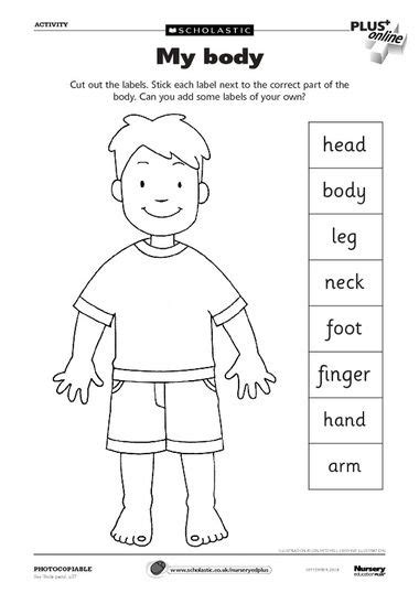 Parts if the face (easy). 13 Best Images of Preschool Shape Recognition Worksheets ...