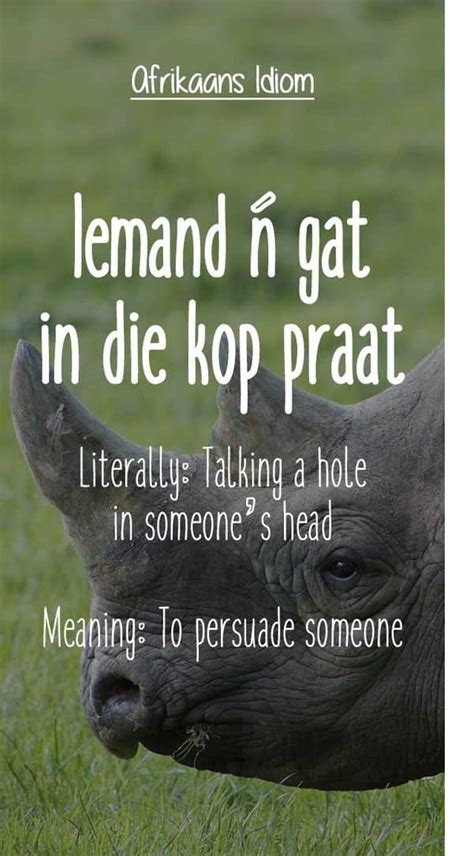 25 Best Afrikaans Idioms And Proverbs Ever With Images Za