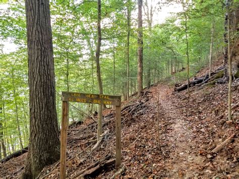 Your Guide To Norris Dam State Park — Simply Awesome Trips