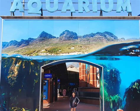 Cosa Vedere A Cape Town Two Oceans Aquarium In Viaggio Con I Cipolli