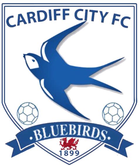 Cardiff City Fc Png Free Download Png All
