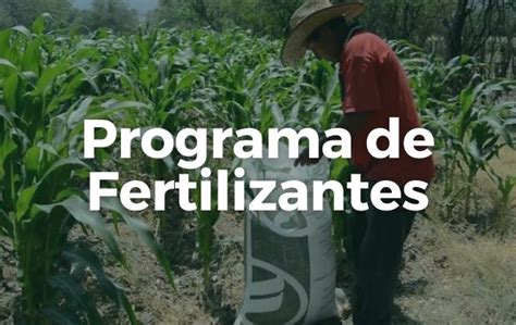 fertilizantes para el bienestar impulsando a pequeños productores