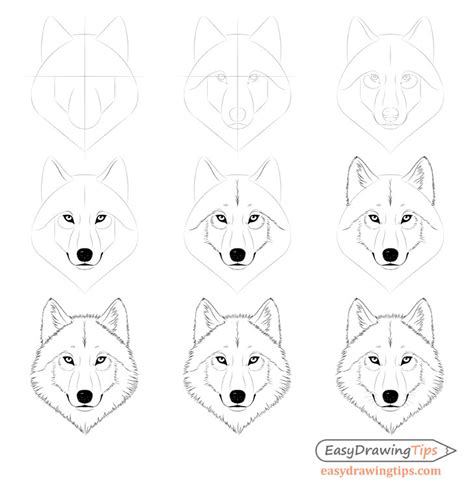 Https://tommynaija.com/draw/how To Draw A Realistic Wolf Step By Step