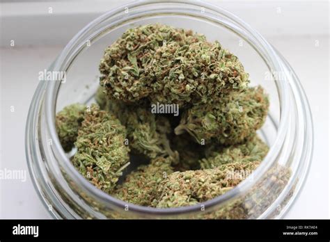 Nugs Of Cannabis Stock Photo Alamy