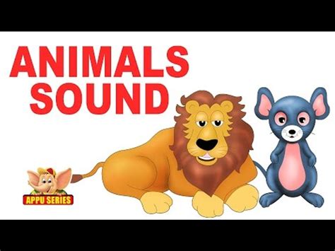 Animals Pictures With Names And Sounds Dailymotion Picturemeta