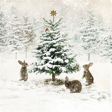 Three Bunnies Christmas Card Design By Jane Crowther For Bug Art