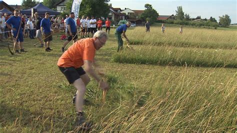 Von altersvorsorge über girokonto bis versicherung: Landsberg TV - Sensenmähwettbewerb 2017 der VR Bank ...