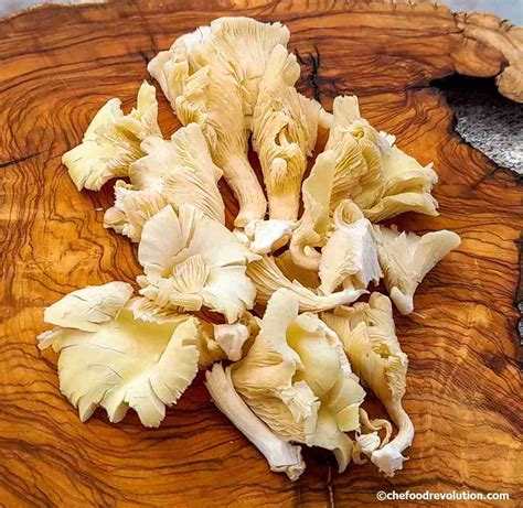 Nutritional Benefits Of Oyster Mushrooms Besto Blog