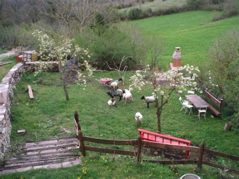 Alojamientos en la montaña, fincas, cortijos y cabañas con opiniones de viajeros. Casa rural Monaut - Casas Rurales Navarra